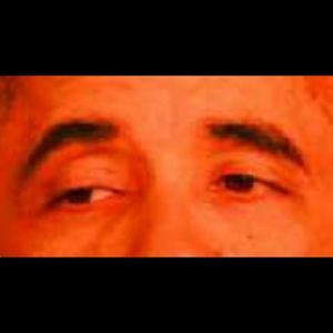 Meet your Posher, Brady